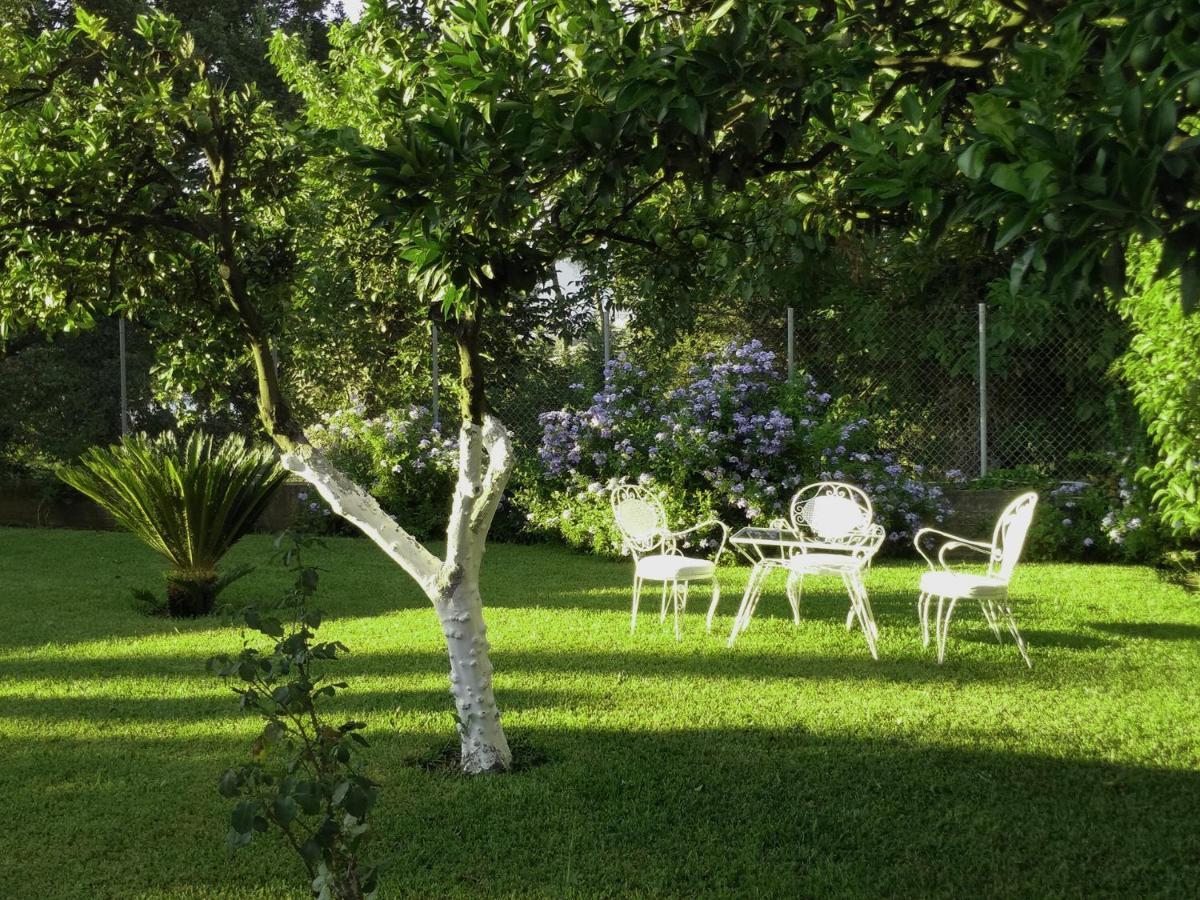 Casa Malu Boutique Studio No 4 Guviá Kültér fotó